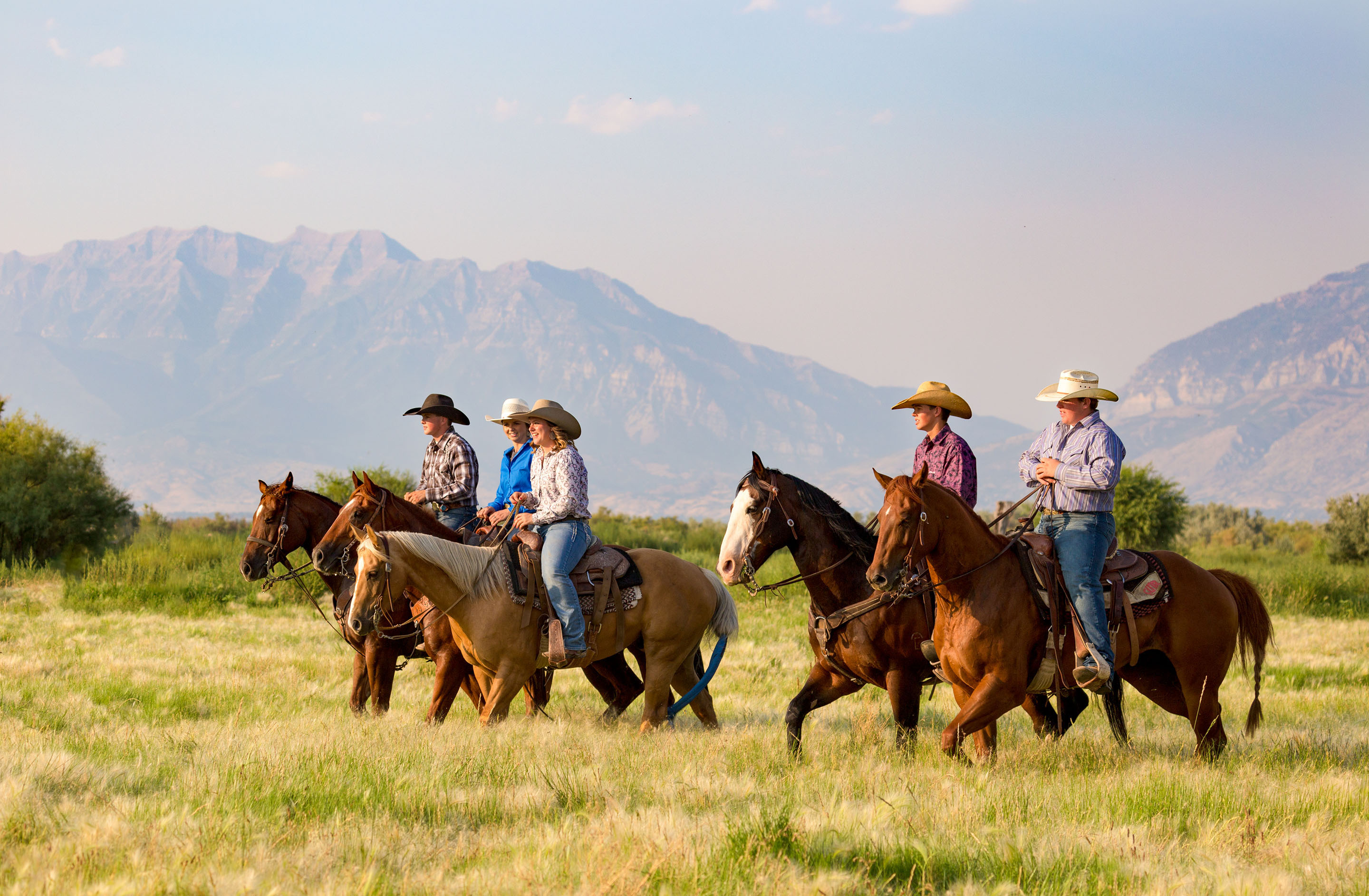 Un travail en ranch en Australie grâce au Visa Vacances Travail