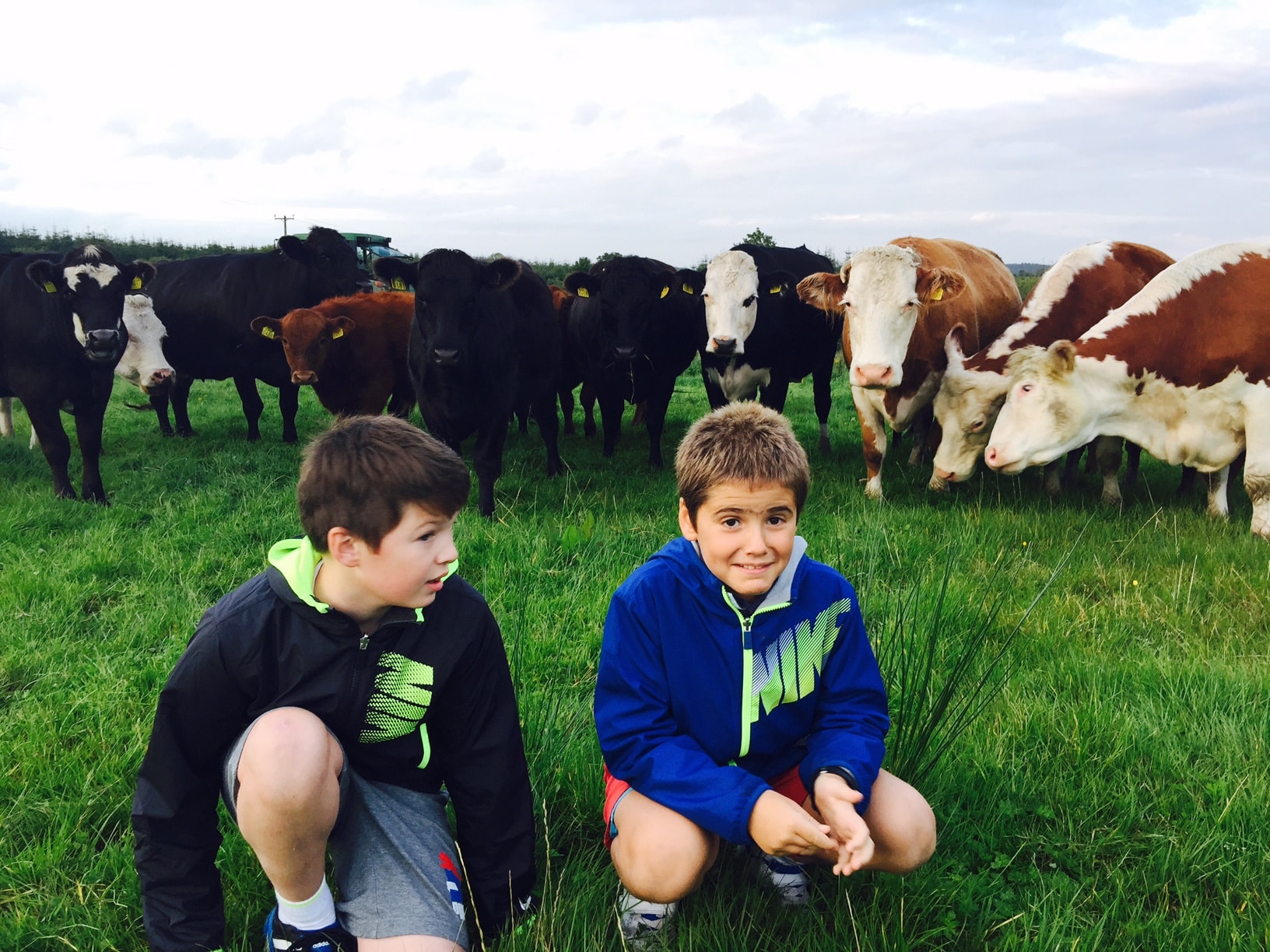 Séjour en famille en Irlande Languages & Travel